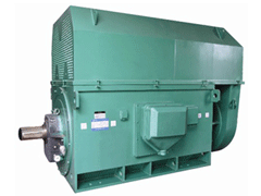 JR127-10Y系列6KV高压电机
