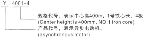 西安泰富西玛Y系列(H355-1000)高压JR127-10三相异步电机型号说明